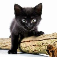 a black kitten sitting on top of a log generative AI photo