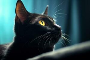 un negro gato con amarillo ojos mirando arriba generativo ai foto