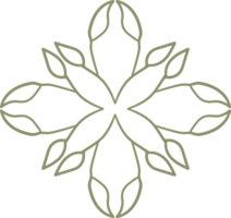 natural floral doodle ornament png