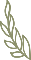 natural floral doodle ornament png