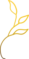 luxe goud bloemendecoratie png