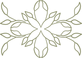 natural floral doodle ornament png