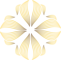 golden Blumen- Ornament png