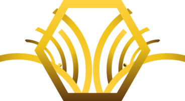 guld hexagonal prydnad png