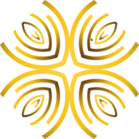 Gold sechseckig Ornament png