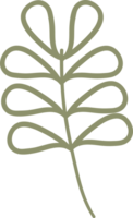 naturlig blommig klotter prydnad png