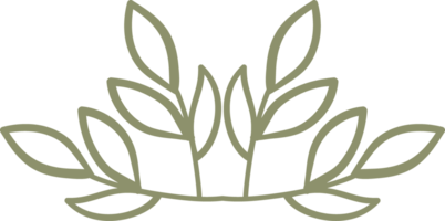 natural floral doodle ornament png