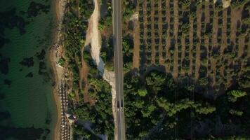 aereo tiro di mare costa con verde alberi e strada lungo lungomare, Grecia video