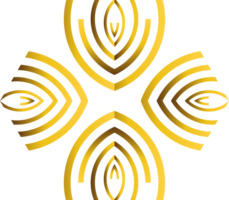 gold hexagonal ornament png