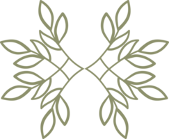 natural floral doodle ornament png