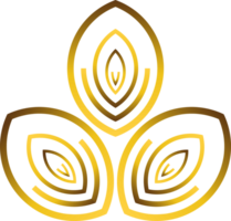 d'or floral ornement png