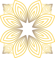 gouden bloemen ornament png