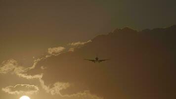 Flugzeug fliegend im Himmel mit warm Abend Licht video