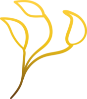 luxe goud bloemendecoratie png