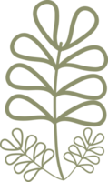 natural floral doodle ornament png