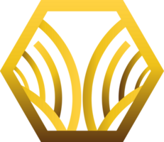 guld hexagonal prydnad png