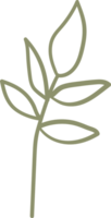 natural floral doodle ornament png