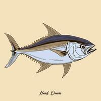 Tuna Fish in vintage Handrawing style Vector illustration