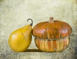 decorative small autumn pumpkins on the original background photo