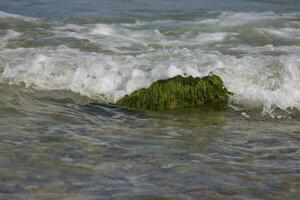 seaside landscape with a boulder overgrown with green algae and waves of the sea in the background photo