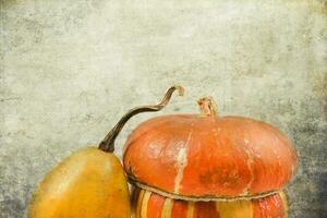 decorative small autumn pumpkins on the original background photo