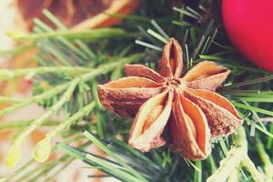 macro color natural decoración en Navidad con naranja, árbol, foto