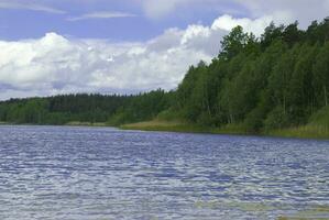 summer landscape with a lake, trees, blue sky and clouds on a warm day photo