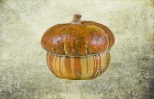 decorative small autumn pumpkins on the original background photo