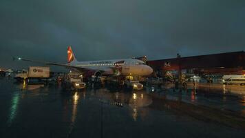 equipaje cargando dentro checo aerolíneas avión a noche, sheremetyevo aeropuerto video