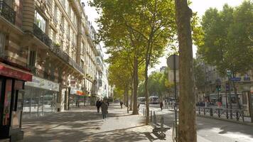 caminhando dentro a rua do Paris em ensolarado outono dia video