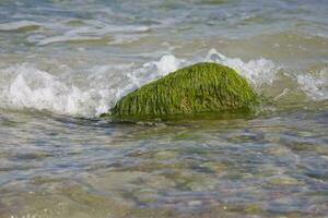 playa paisaje con un roca descuidado con verde algas y olas de el mar en el antecedentes foto