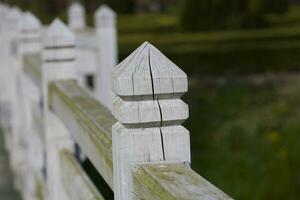 white retro vintage wooden fence in close-up on a green background photo