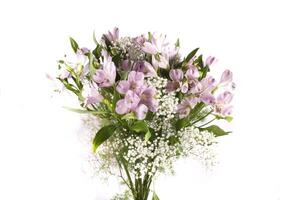 bouquet of purple small flowers in vase isolated on white photo