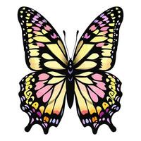 Butterfly sticker vector ai generate photo