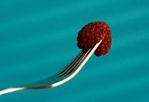 fragrant red fresh raspberry thickset on a fork on a blue background photo