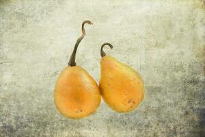 decorative small autumn pumpkins on the original background photo