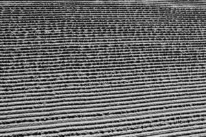 Original beautiful background in black and white with lines formed on the sand from the beach photo