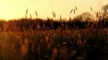 Sonnenaufgang Landschaft Natur Wolkenlandschaft Himmel und Wolken Hintergrund video