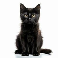 a black kitten sitting on a white background generative AI photo