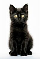 a black kitten is sitting in front of a white background generative AI photo