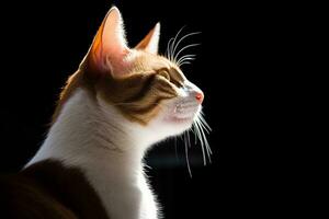 un marrón y blanco gato mirando arriba a el cielo generativo ai foto