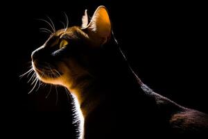 a cat is silhouetted against a black background generative AI photo