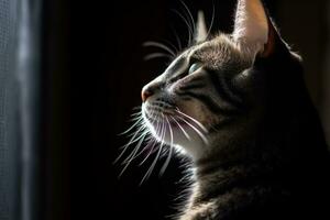 a cat is looking out the window in the dark generative AI photo