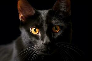 un cerca arriba de un negro gato con amarillo ojos generativo ai foto