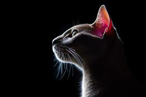 a close up of a cat looking up at something in the dark generative AI photo