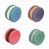 four different colored macarons are shown on a white background vector