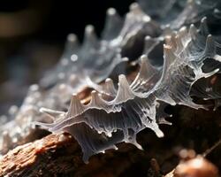 a close up view of a fungus on a tree branch generative AI photo