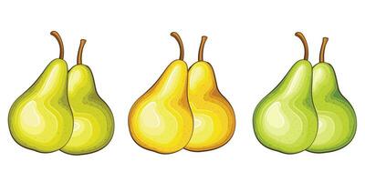 Pear isolated vector illustration. Fruits colorful illustrations isolated on white background.  Fruit collection.