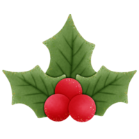 christmas holly green leaves and red berries isolated on transparent background png