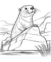 river otter coloring page vector